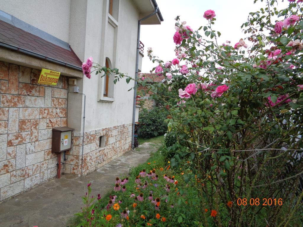 Villa Victoria Sinemoretz Exterior foto
