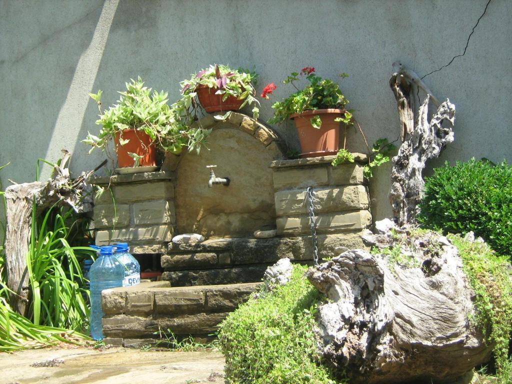Villa Victoria Sinemoretz Exterior foto