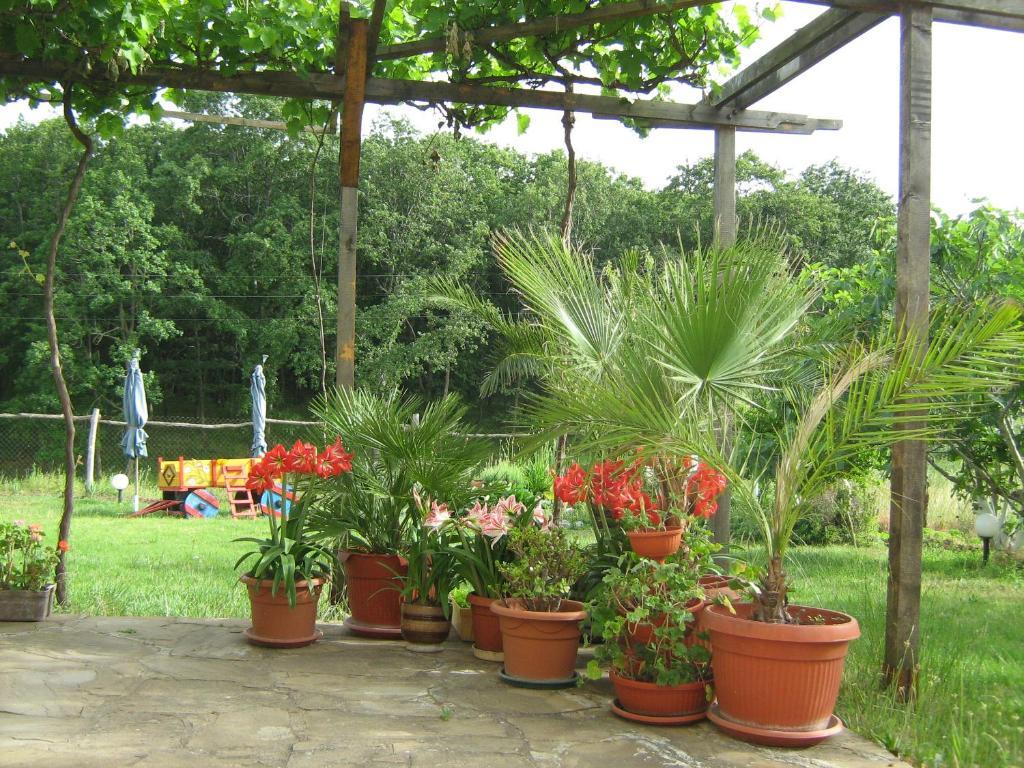 Villa Victoria Sinemoretz Exterior foto